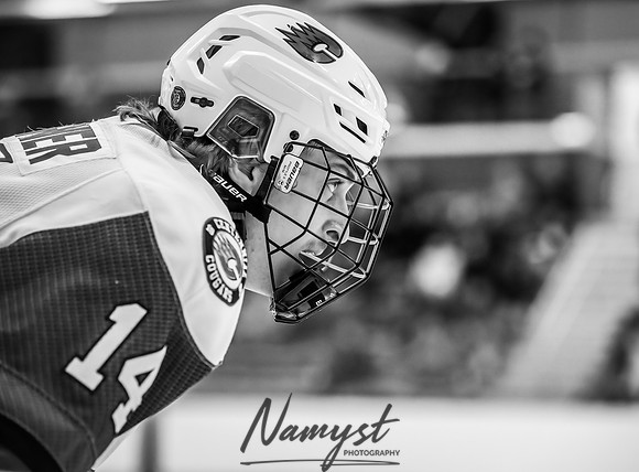 Centennial vs Elk River Varsity Hockey 97