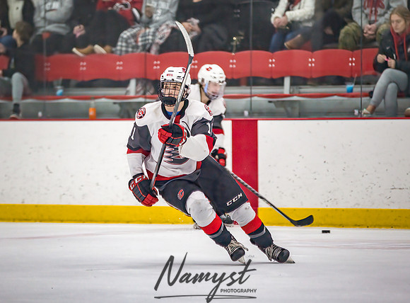 Centennial vs Elk River Varsity Hockey 98