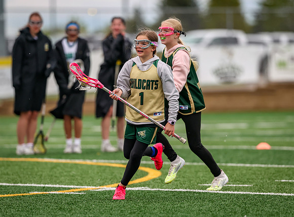 195 Chisago Lakes vs Forest Lake