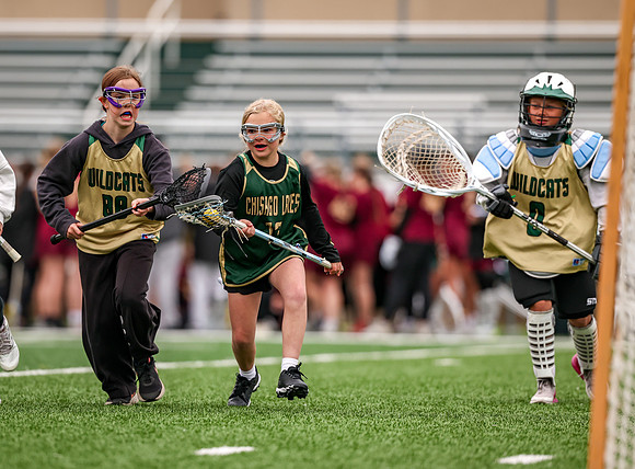 224 Chisago Lakes vs Forest Lake