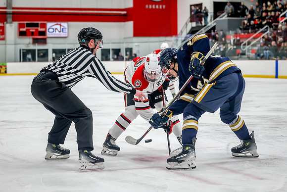 Centennial vs Hermantown Varsity Hockey 58