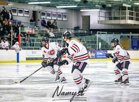Centennial Spring Lake Park vs Mounds View Irondale Varsity Hockey_67