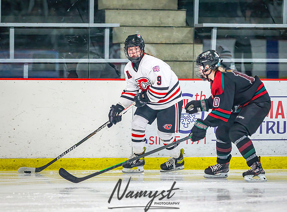 Centennial Spring Lake Park vs Mounds View Irondale Varsity Hockey_116