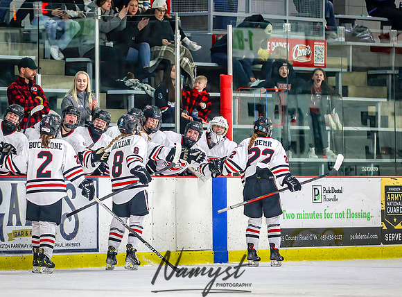 Centennial Spring Lake Park vs Mounds View Irondale Varsity Hockey_294