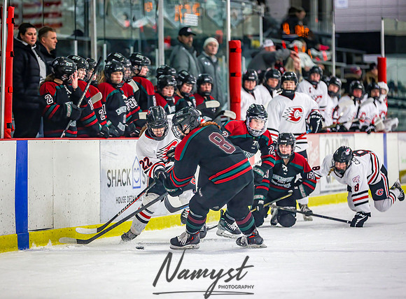 Centennial Spring Lake Park vs Mounds View Irondale Varsity Hockey_496