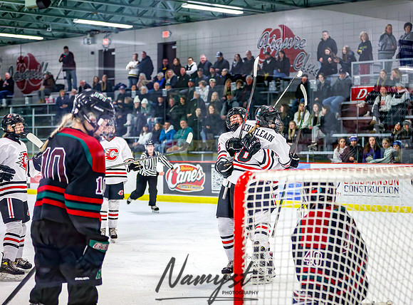 Centennial Spring Lake Park vs Mounds View Irondale Varsity Hockey_523