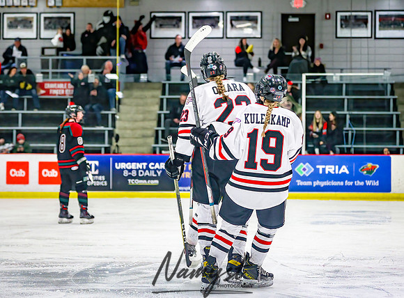 Centennial Spring Lake Park vs Mounds View Irondale Varsity Hockey_743