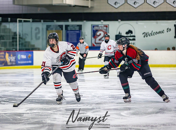 Centennial Spring Lake Park vs Mounds View Irondale Varsity Hockey_1080