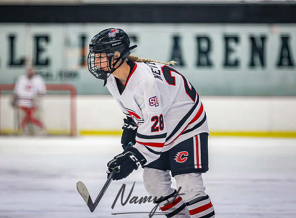 Centennial Spring Lake Park vs Mounds View Irondale Varsity Hockey_1261