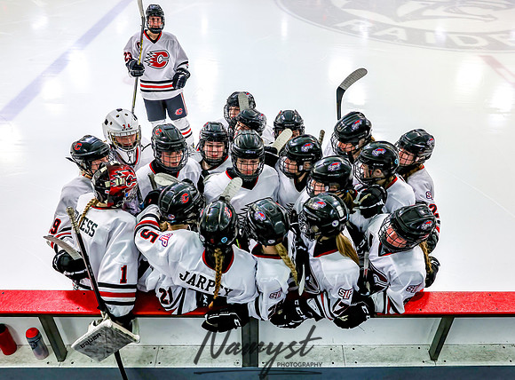 Centennial Spring Lake Park vs Mounds View Irondale Varsity Hockey_1429