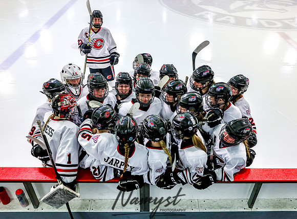 Centennial Spring Lake Park vs Mounds View Irondale Varsity Hockey_1430