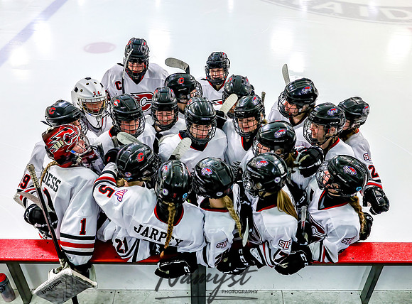 Centennial Spring Lake Park vs Mounds View Irondale Varsity Hockey_1435