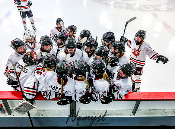 Centennial Spring Lake Park vs Mounds View Irondale Varsity Hockey_1426