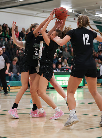 Mounds View vs Forest Lake Varsity Basketball 203
