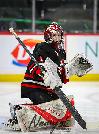 Centennial vs Minnetonka Girls Hockey_22