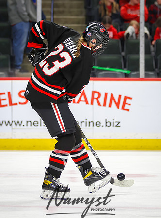 Centennial vs Minnetonka Girls Hockey_51