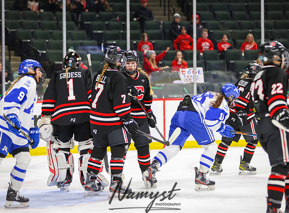 Centennial vs Minnetonka Girls Hockey_380