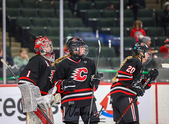 Centennial vs Minnetonka Girls Hockey_384