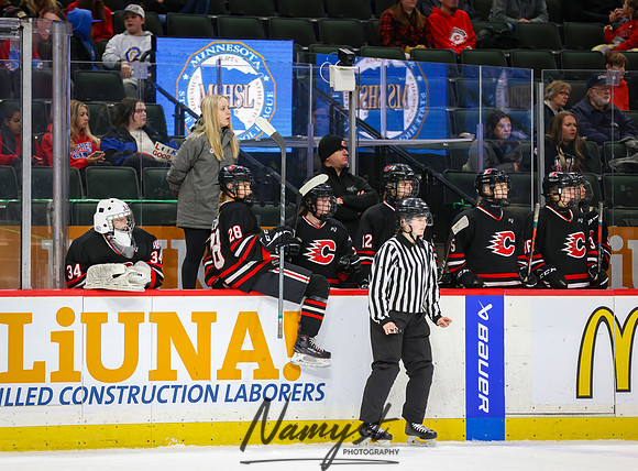 Centennial vs Minnetonka Girls Hockey_432