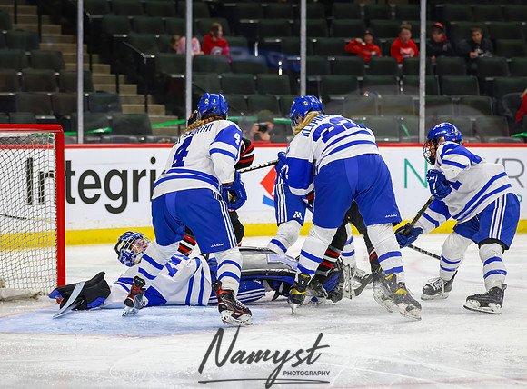Centennial vs Minnetonka Girls Hockey_528