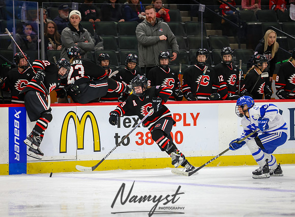 Centennial vs Minnetonka Girls Hockey_565
