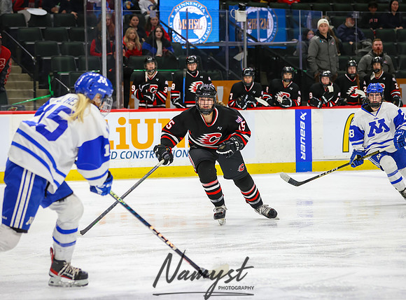 Centennial vs Minnetonka Girls Hockey_620