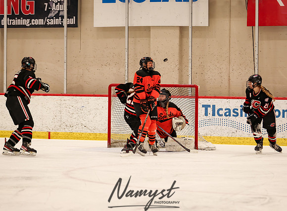 Centennial vs Moorhead Girls Hockey_1217