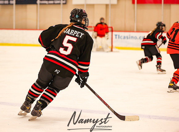 Centennial vs Moorhead Girls Hockey_1250