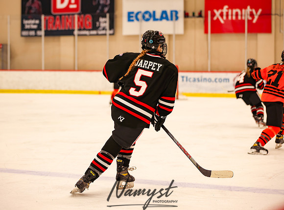 Centennial vs Moorhead Girls Hockey_1251