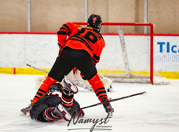 Centennial vs Moorhead Girls Hockey_278
