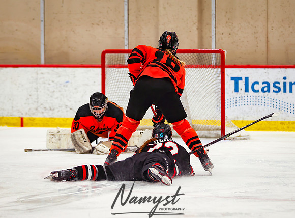 Centennial vs Moorhead Girls Hockey_280