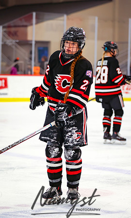 Centennial vs Moorhead Girls Hockey_285