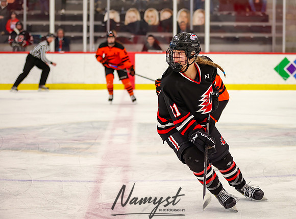 Centennial vs Moorhead Girls Hockey_361