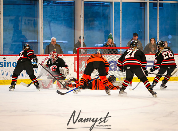 Centennial vs Moorhead Girls Hockey_365