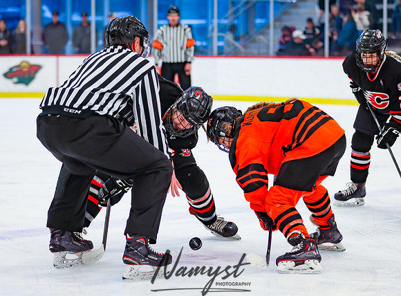 Centennial vs Moorhead Girls Hockey_353