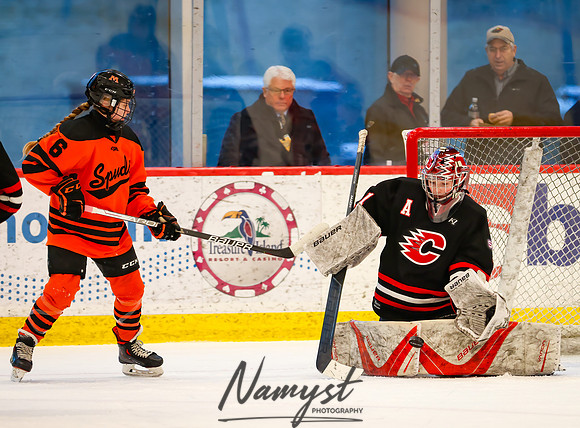 Centennial vs Moorhead Girls Hockey_387