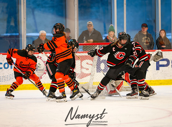 Centennial vs Moorhead Girls Hockey_393