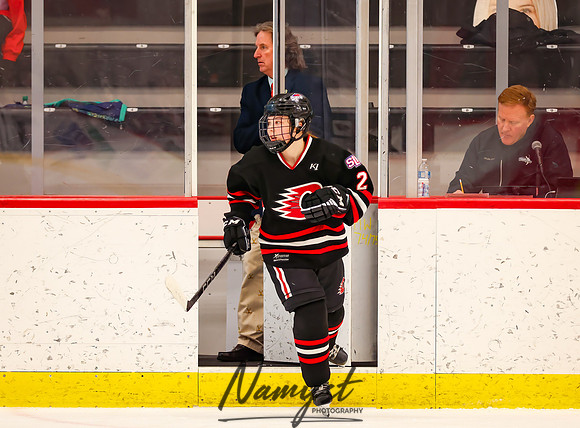 Centennial vs Moorhead Girls Hockey_450