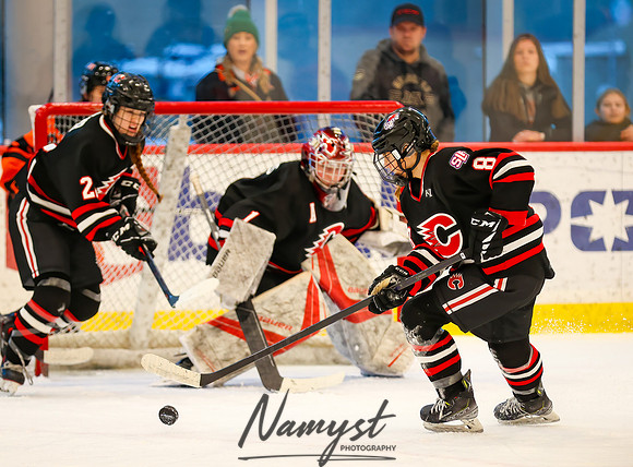 Centennial vs Moorhead Girls Hockey_496