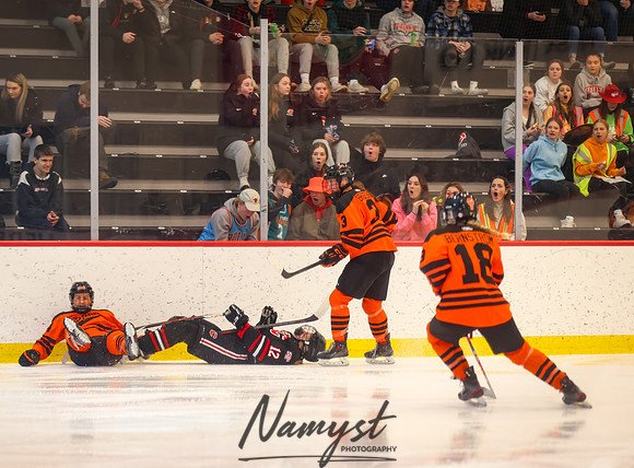 Centennial vs Moorhead Girls Hockey_516