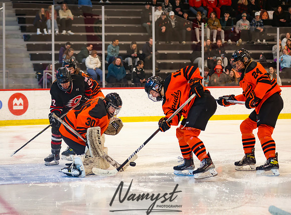 Centennial vs Moorhead Girls Hockey_531