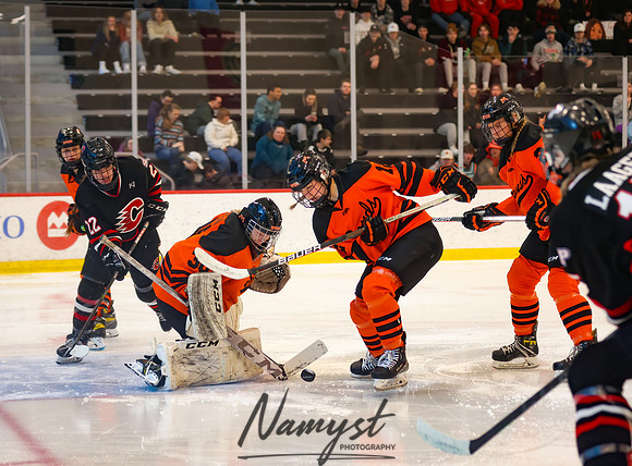 Centennial vs Moorhead Girls Hockey_532