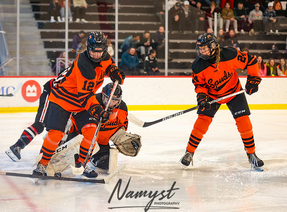 Centennial vs Moorhead Girls Hockey_536