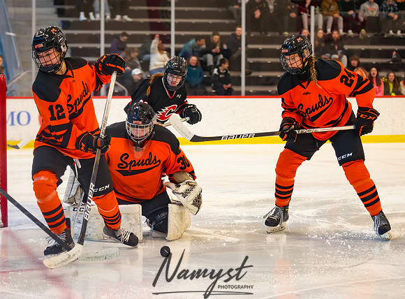 Centennial vs Moorhead Girls Hockey_537