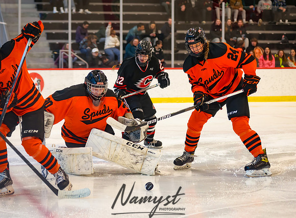 Centennial vs Moorhead Girls Hockey_538
