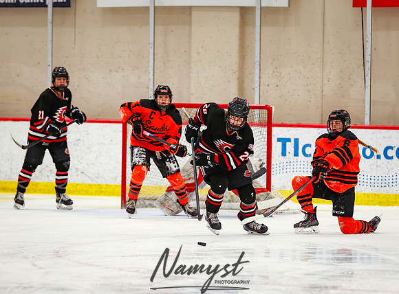 Centennial vs Moorhead Girls Hockey_669