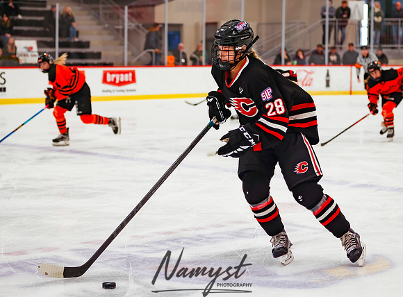 Centennial vs Moorhead Girls Hockey_675