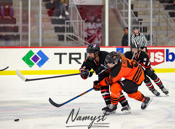 Centennial vs Moorhead Girls Hockey_705