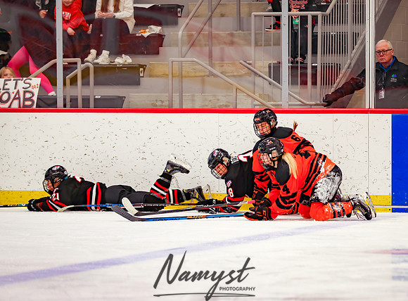 Centennial vs Moorhead Girls Hockey_728