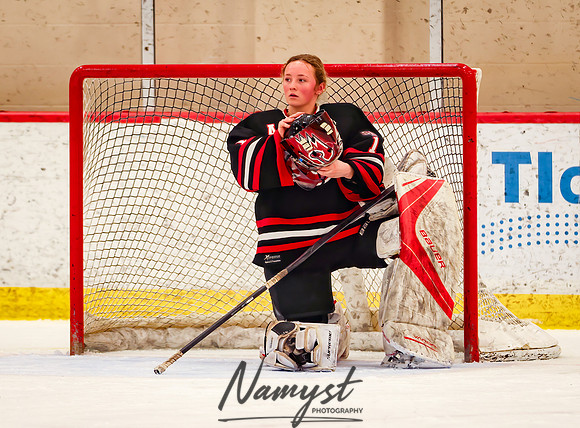 Centennial vs Moorhead Girls Hockey_833